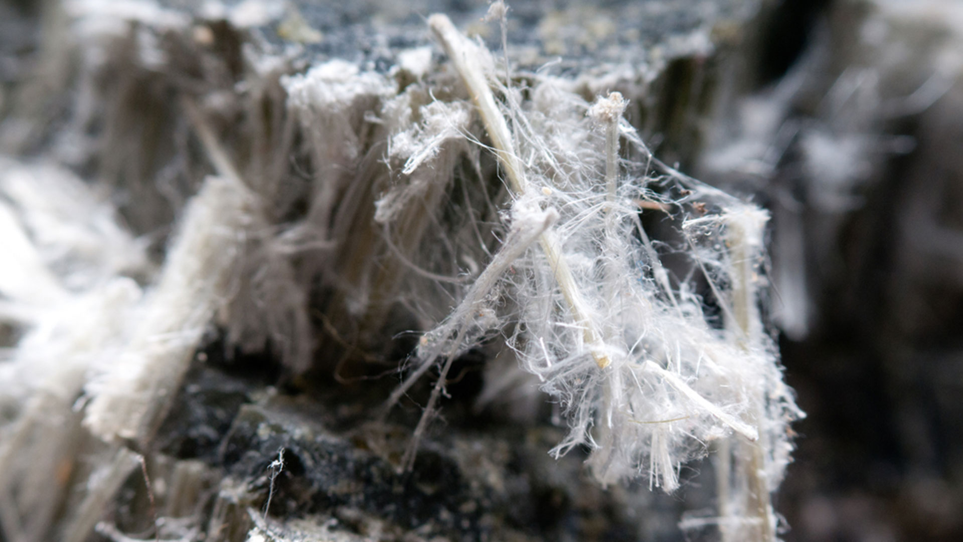Asbestos Close up