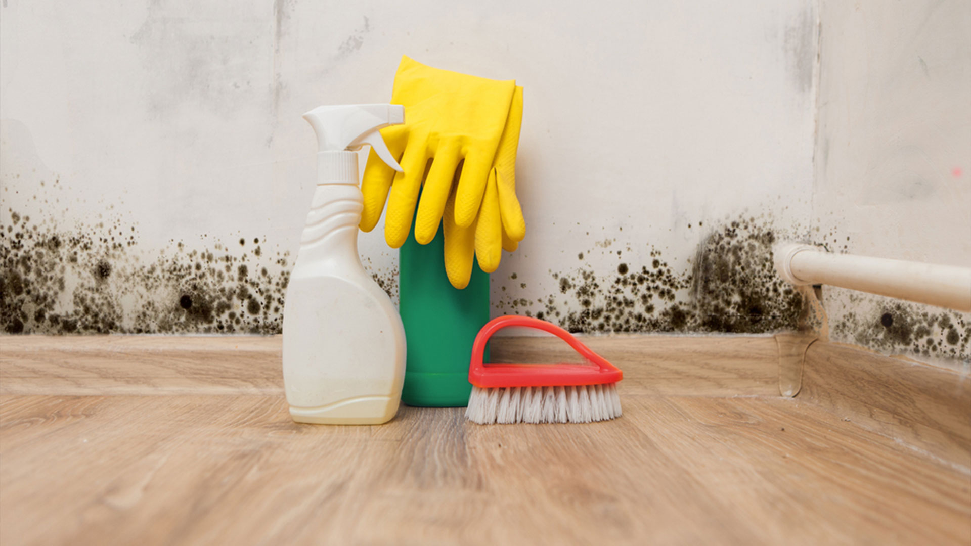 mold cleaning chemicals