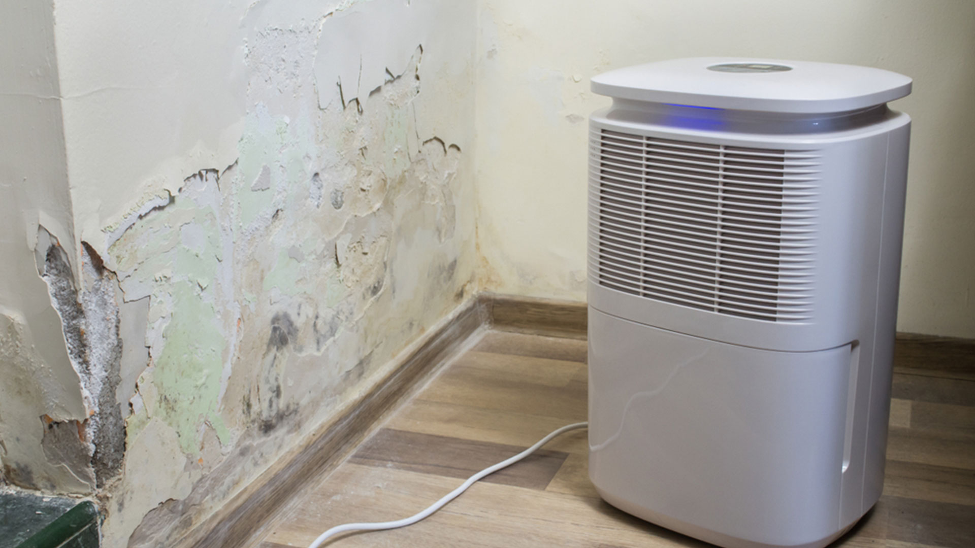 Dehumidifer being used to prevent mold