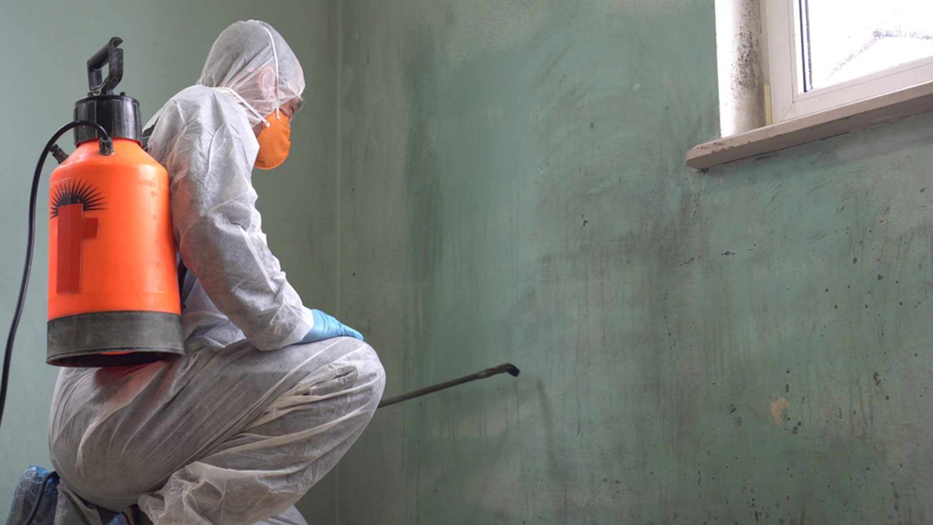 Mold Remedial